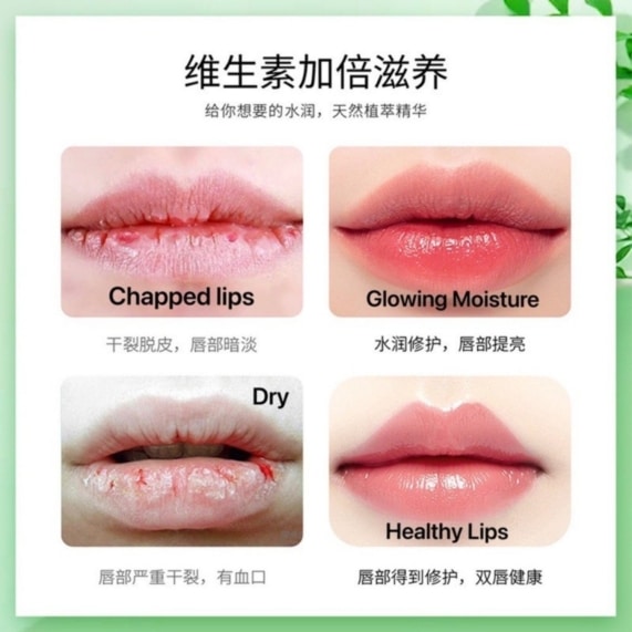 Hydrating Aloe Lip Balm 4g | Fresh Extracts for Nourished Lips - SHOPPE.LK