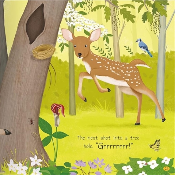 Tales of the Woodland by Miles Kelly - SHOPPE.LK