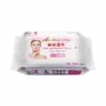 OULISI Wet Tissue Makeup Remover Wipes - Pack of 26 - SHOPPE.LK